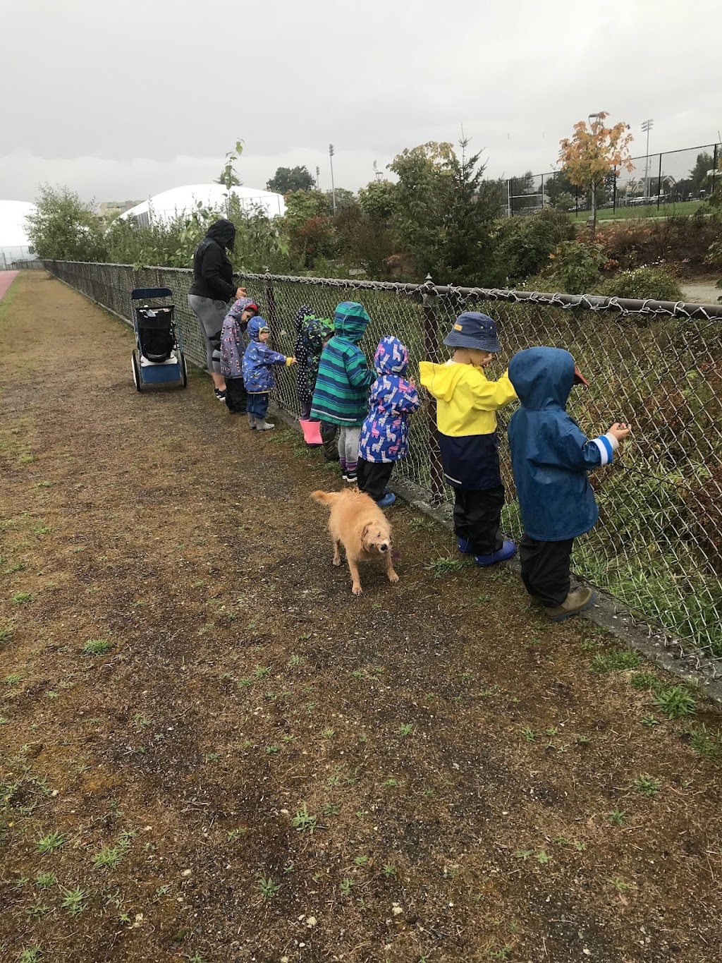 Nicole’s Family Daycare | 2072 Meadow Pl, Victoria, BC V8R 1R3, Canada | Phone: (250) 882-7797