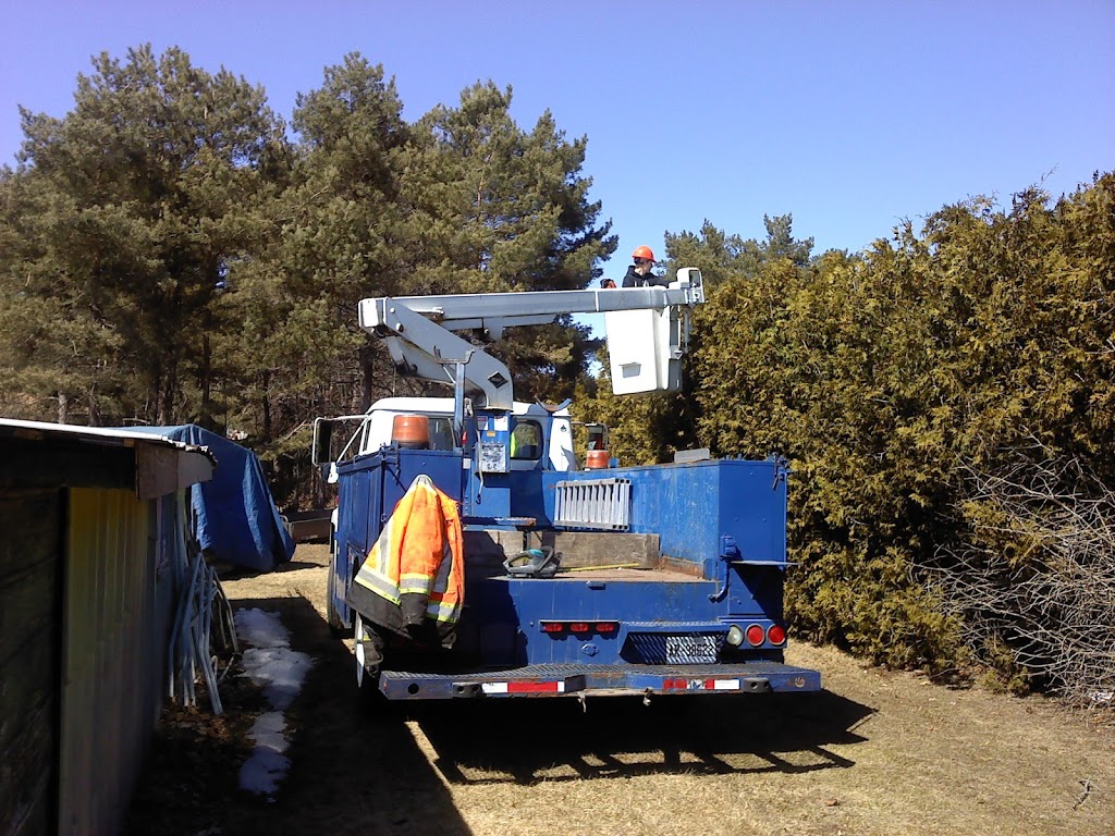 AJL Tree Service | 1891 Bowmanton Rd #2, Roseneath, ON K0K 2X0, Canada | Phone: (289) 829-1151