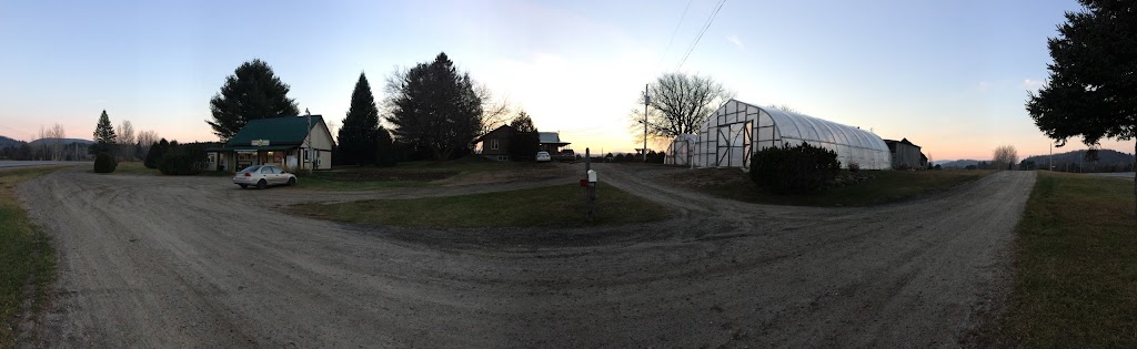 Ferme Jacques et Ginette Trépanier et fils, inc. | 440 QC-323, Papineauville, QC J0V 1R0, Canada | Phone: (819) 983-1639