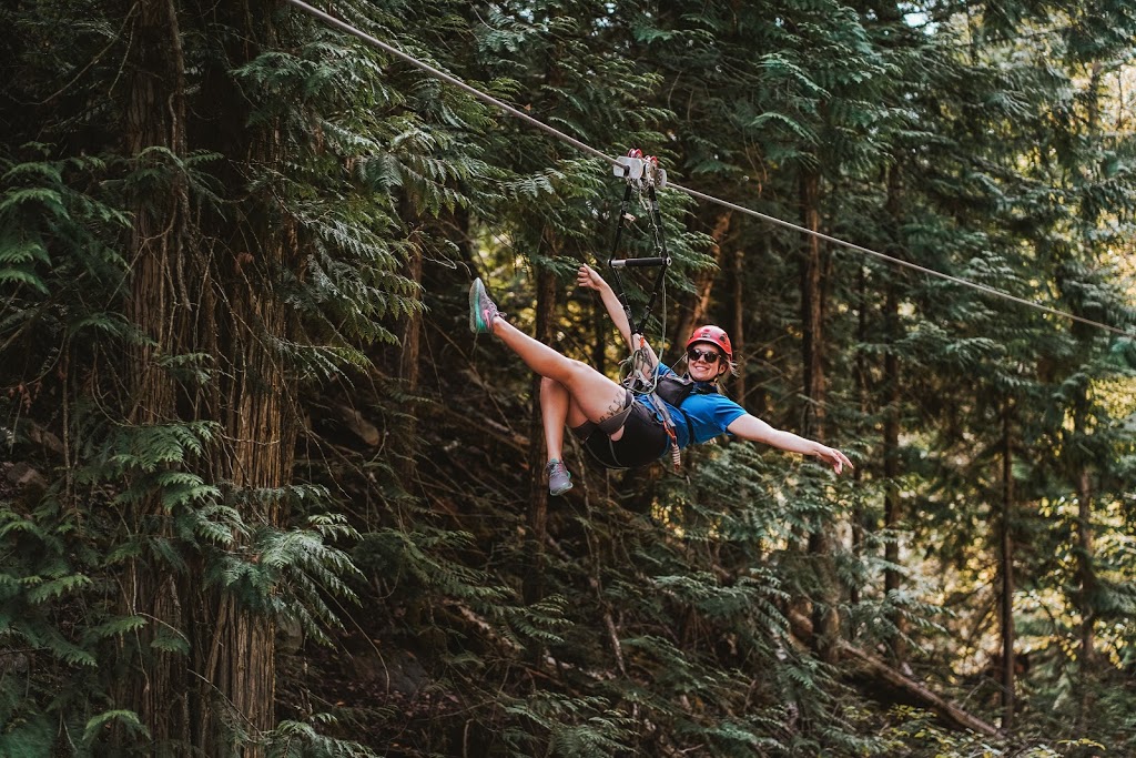 Treetop Flyers | 305 Brooke Dr, Chase, BC V0E 1M0, Canada | Phone: (866) 343-6761