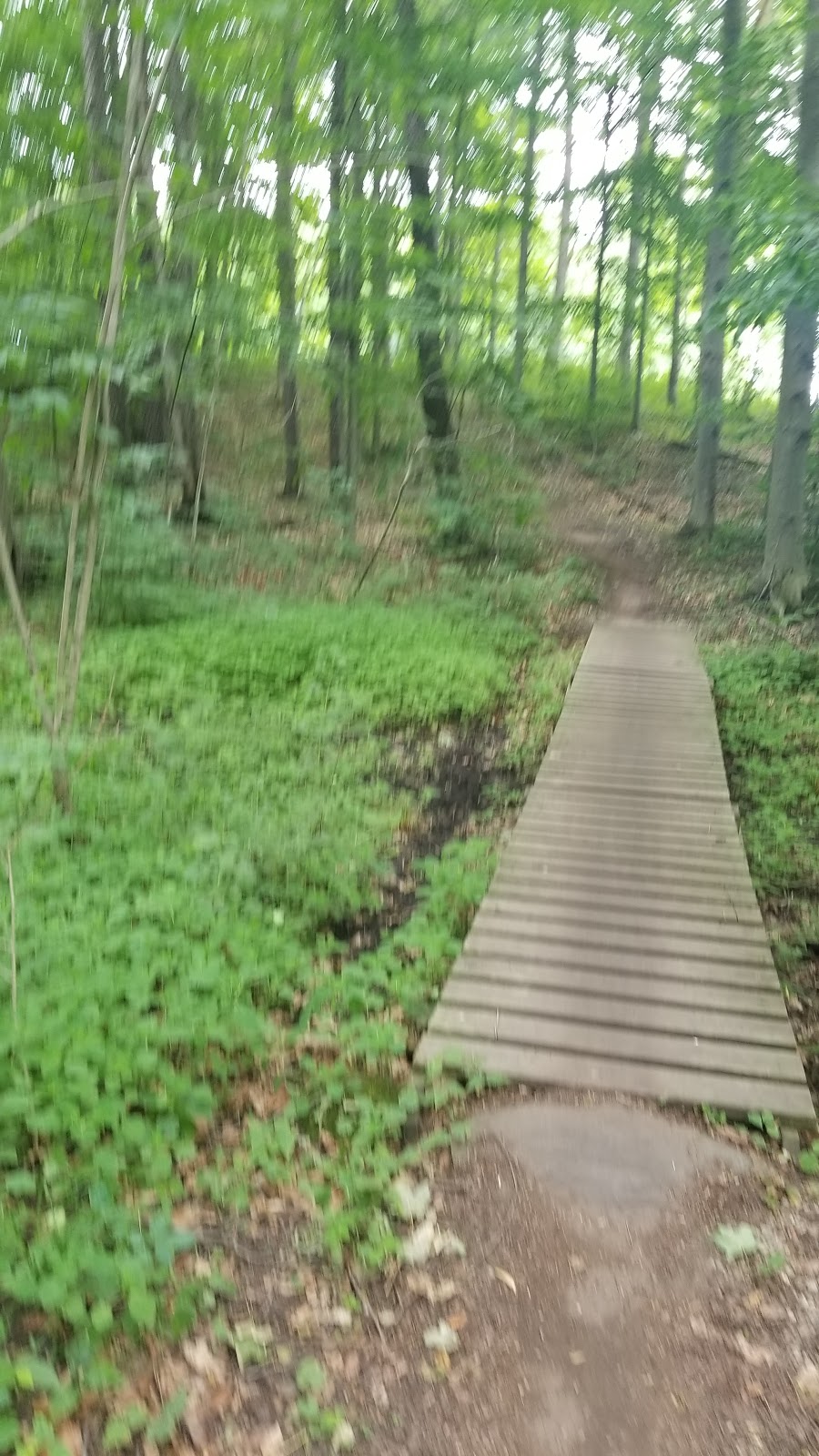 Hydrocut - Glasgow Parking | Kaitlyns, Kaitlyns Switchbacks, Waterloo, ON N2J 3Z4, Canada