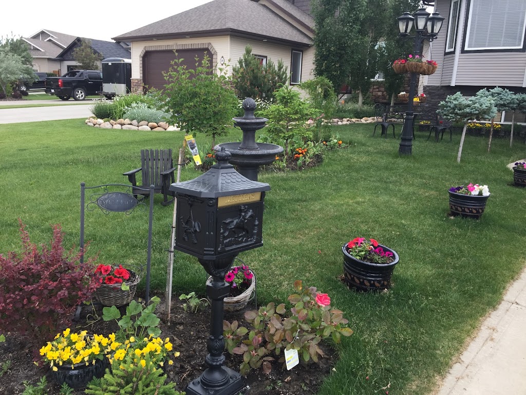 Asma Family Daycare Centre | 43 Volk Pl, Red Deer, AB T4R 0E1, Canada | Phone: (403) 596-3899