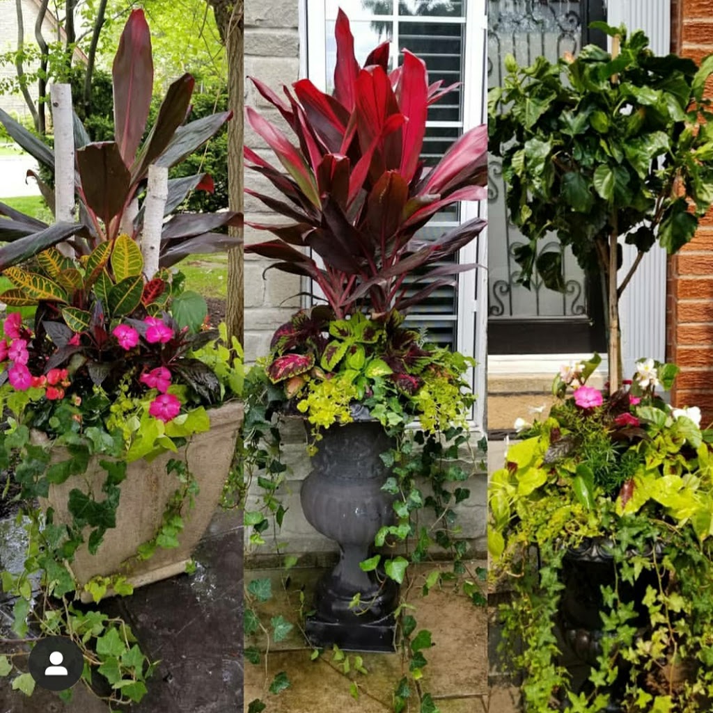 Pinpointflowers | 95 MacArthur Dr, Thornhill, ON L4J 8J6, Canada | Phone: (416) 771-1571