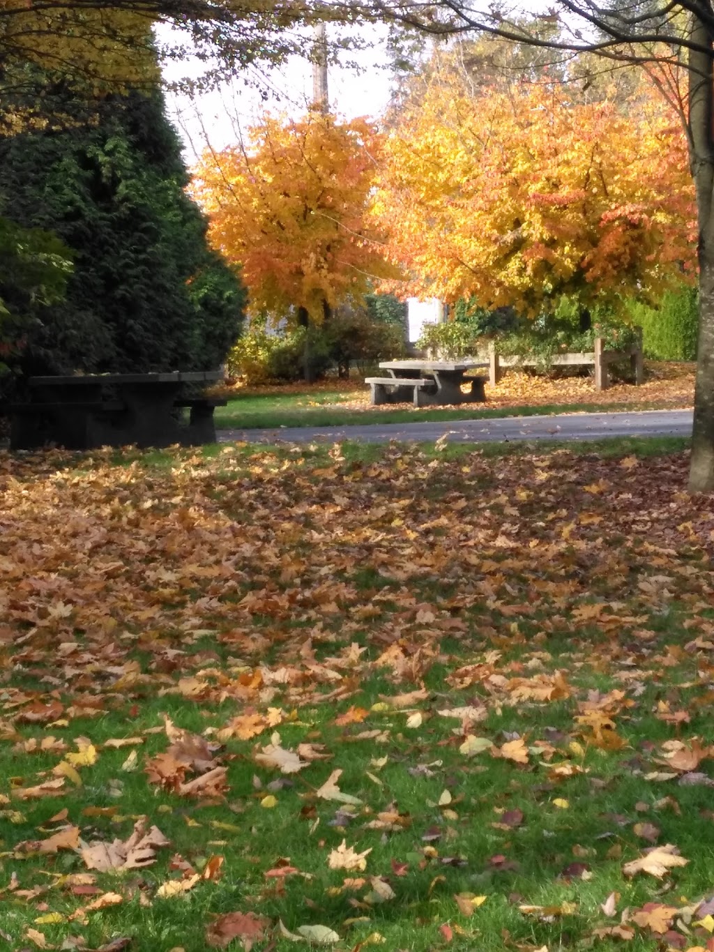 Lower Lougheed Park | 576 Alderson Ave, Coquitlam, BC V3K 1T4, Canada | Phone: (604) 927-3000