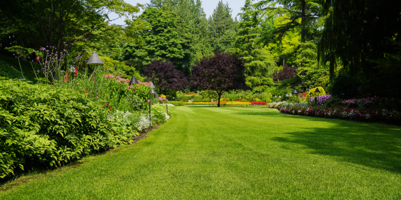 Turf Plus | 15 Smith Ave, Guelph, ON N1E 5V4, Canada | Phone: (519) 822-3051