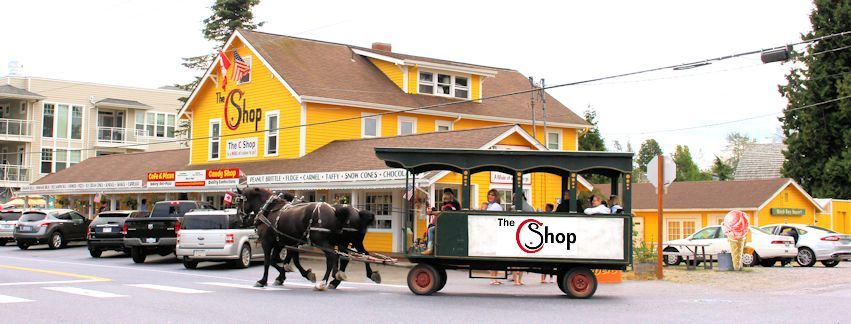 The C Shop | 4825 Alderson Road Birch Bay, Blaine, WA 98230, USA | Phone: (360) 371-2070