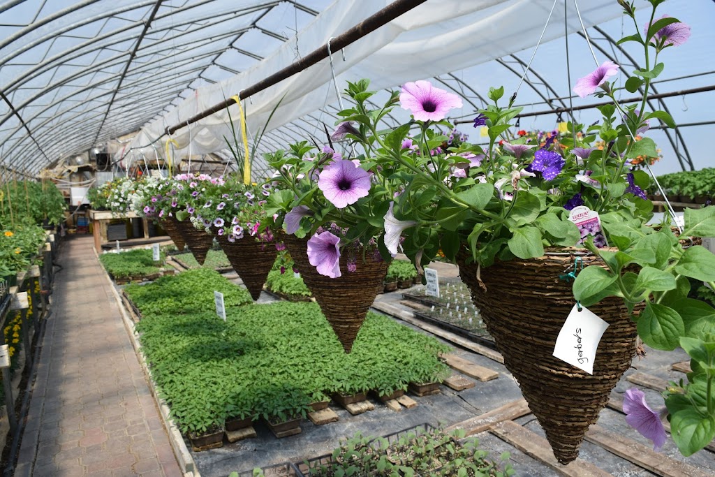 Gerbers B & B / Nursery | 764 Zadow Rd, Killaloe, ON K0J 2A0, Canada | Phone: (613) 625-2304