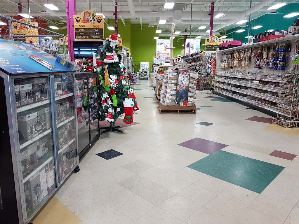 Petland Red Deer | 5250 22 St, Red Deer, AB T4R 2T4, Canada | Phone: (403) 309-4800