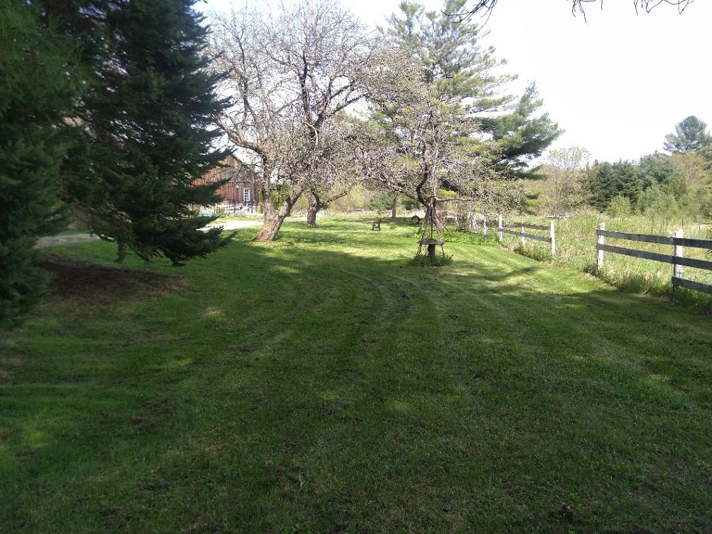 Bay Property Maintenance | 61 Meadows Ave, Waubaushene, ON L0K 2C0, Canada | Phone: (705) 538-1597