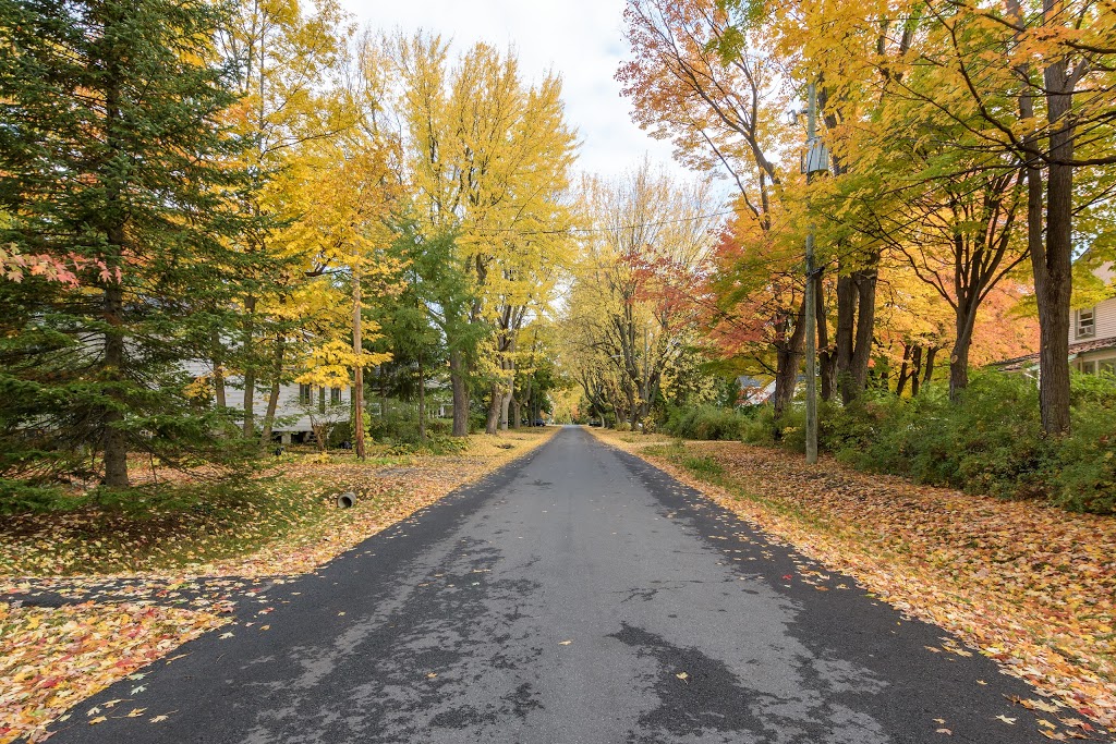 Team Broady / LÉquipe Broady | 443 Boulevard Beaconsfield, Beaconsfield, QC H9W 5Y1, Canada | Phone: (514) 613-2988