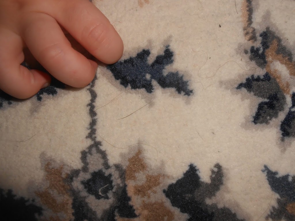 Babayans Carpet Cleaning | 21 Mobile Dr, North York, ON M4A 1H9, Canada | Phone: (416) 751-7676