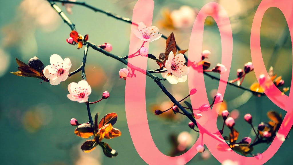 Welland Smiles Dentistry | 547 Thorold Rd #4, Welland, ON L3C 3W9, Canada | Phone: (905) 735-5155
