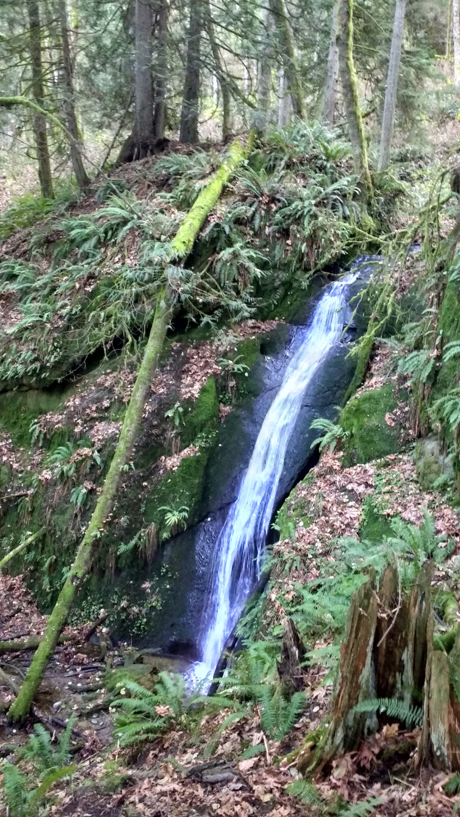 Arroyo Park | 1700 Old Samish Rd, Bellingham, WA 98229, USA | Phone: (360) 778-7000