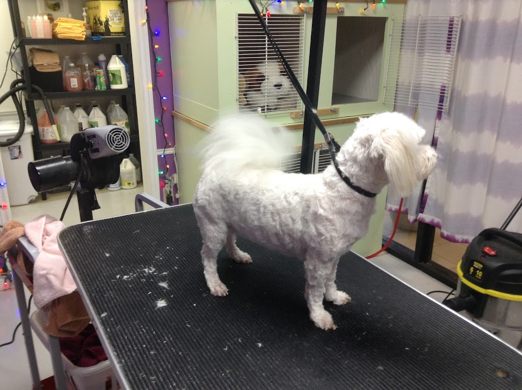 Marlenes K9 Kreations | 500 Rue Main, Montague, PE C0A 1R0, Canada | Phone: (902) 838-2212