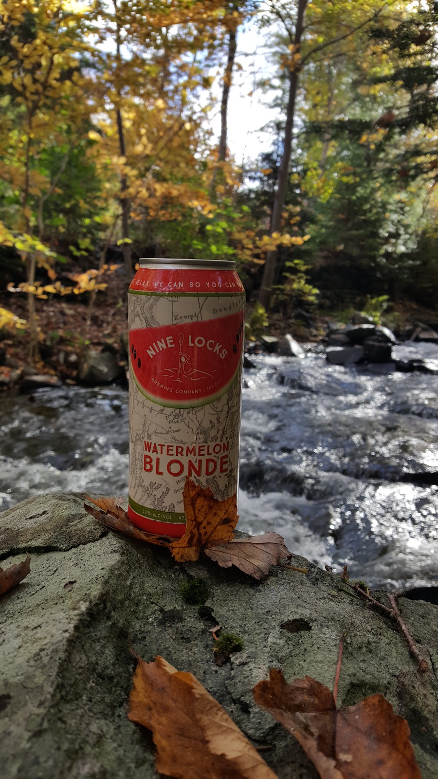 Nine Locks Brewing Company | Mic Mac Place, 219 Waverley Rd, Dartmouth, NS B2X 2C3, Canada | Phone: (902) 434-4471