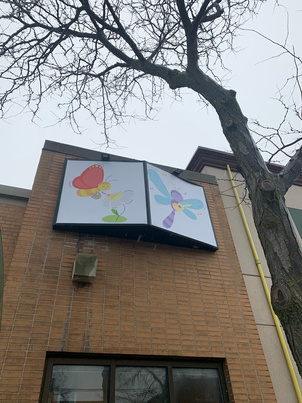 Little Bugs Nursery | 1448 Kingston Rd, Scarborough, ON M1N 1R6, Canada | Phone: (416) 690-6320