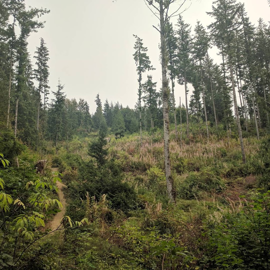Galbraith Mountain | Tower Rd, Bellingham, WA 98229, USA | Phone: (360) 778-7000