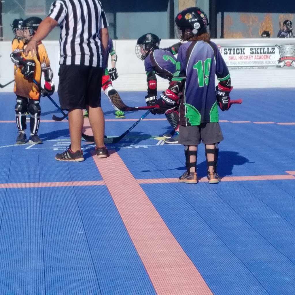 Ball Hockey International London | 17B Clarke Rd, London, ON N5W 5W5, Canada | Phone: (519) 455-2255