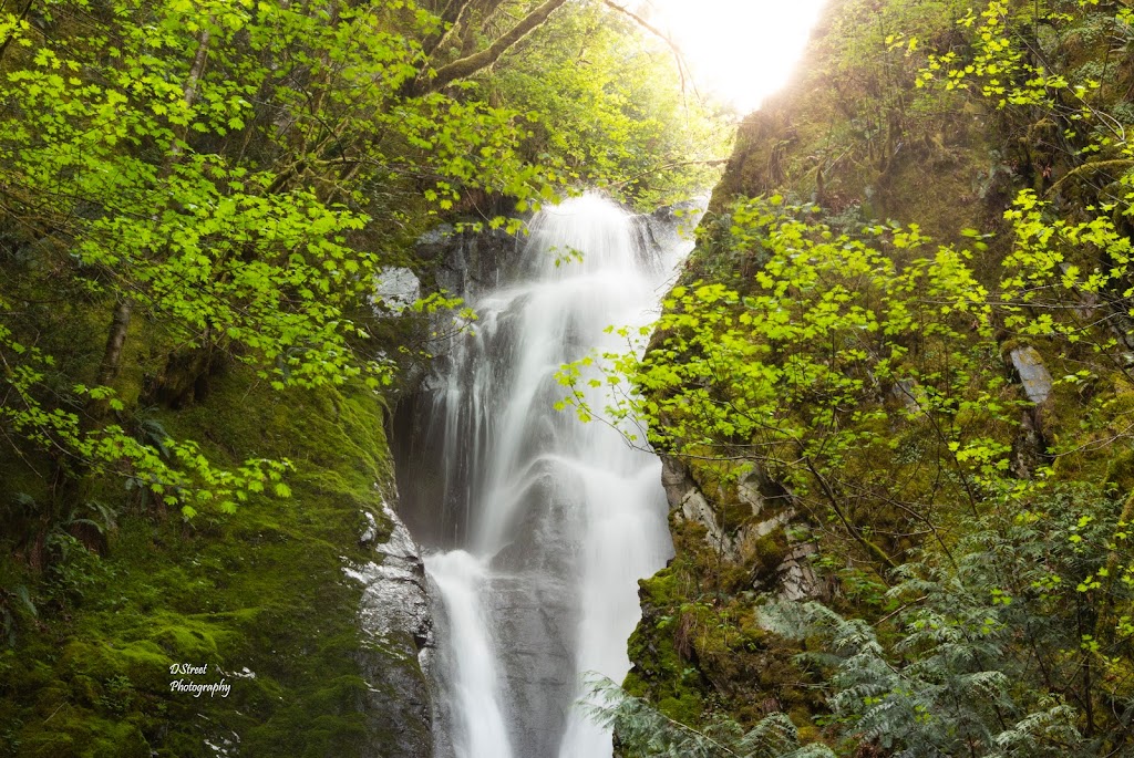 DStreet Photography | 1643 Haultain St, Victoria, BC V8R 2K8, Canada | Phone: (250) 703-1517
