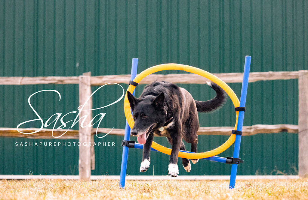 Sashapurephotography | 7 Fred Cooper Way, Sutton, ON L0E 1R0, Canada | Phone: (905) 960-1907
