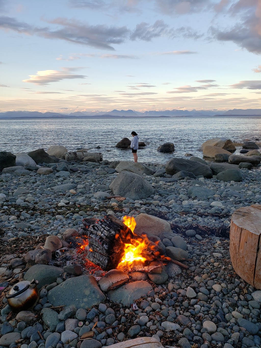 Shelter Bay Resort | 3860 S Island Hwy, Campbell River, BC V9H 1M5, Canada | Phone: (250) 923-5338