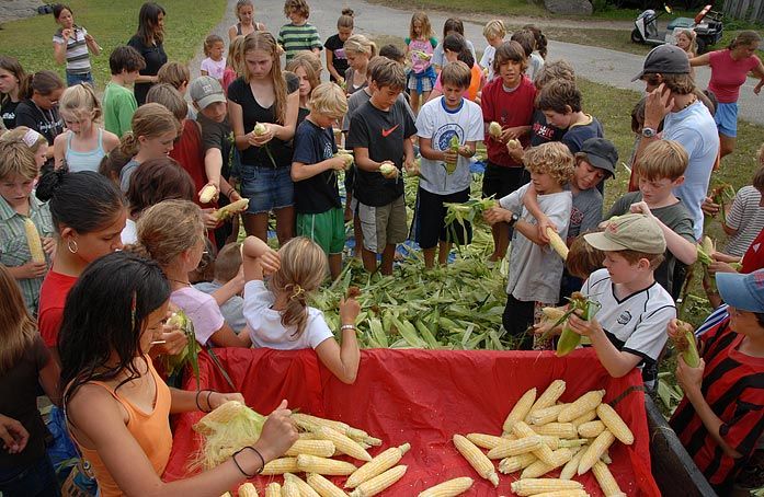 Camping Au soleil St-Paul De Joliette | 383 Boulevard Brassard, Saint-Paul, QC J0K 3E0, Canada | Phone: (450) 754-3819