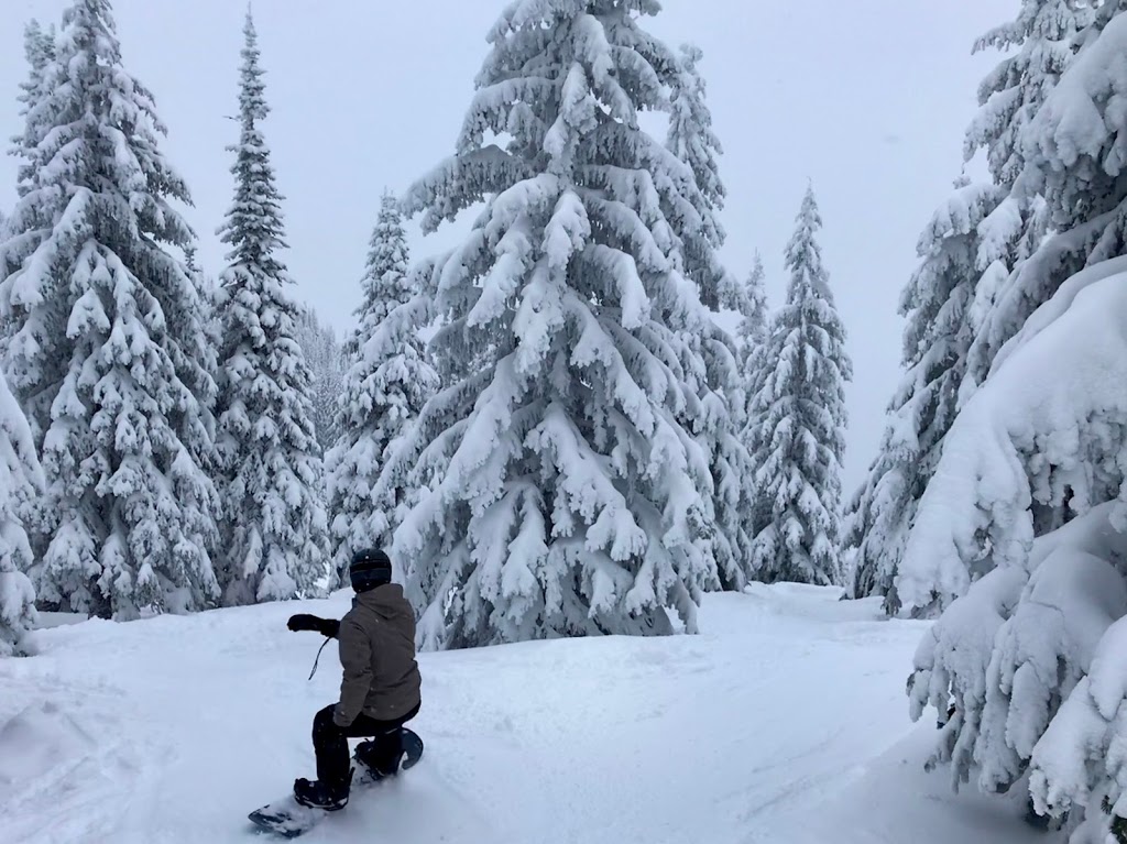 Silver Star Provincial Park | Vernon, BC V1B 3M6, Canada | Phone: (800) 689-9025