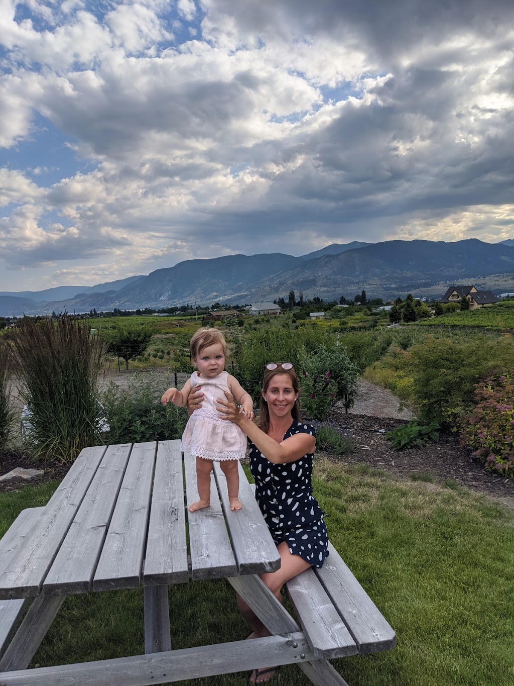 Da Silva Vineyards and Winery | 375 Upper Bench Rd N, Penticton, BC V2A 8T2, Canada | Phone: (800) 851-0903