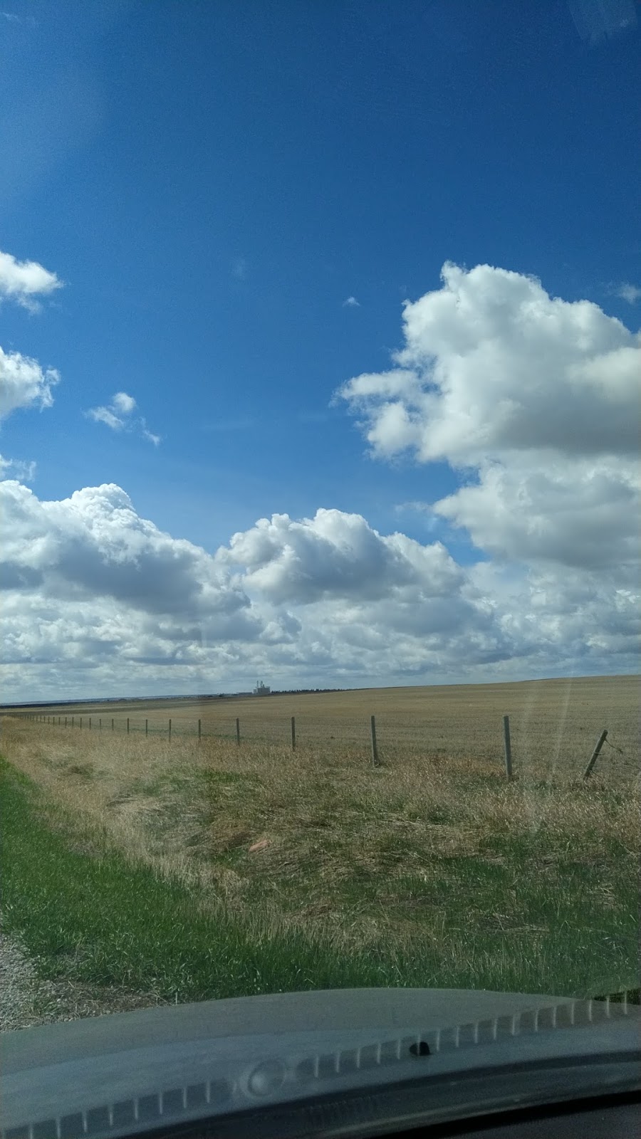 Strangmuir Farms | Wheatland County, AB T0J 0M0, Canada | Phone: (403) 934-4331