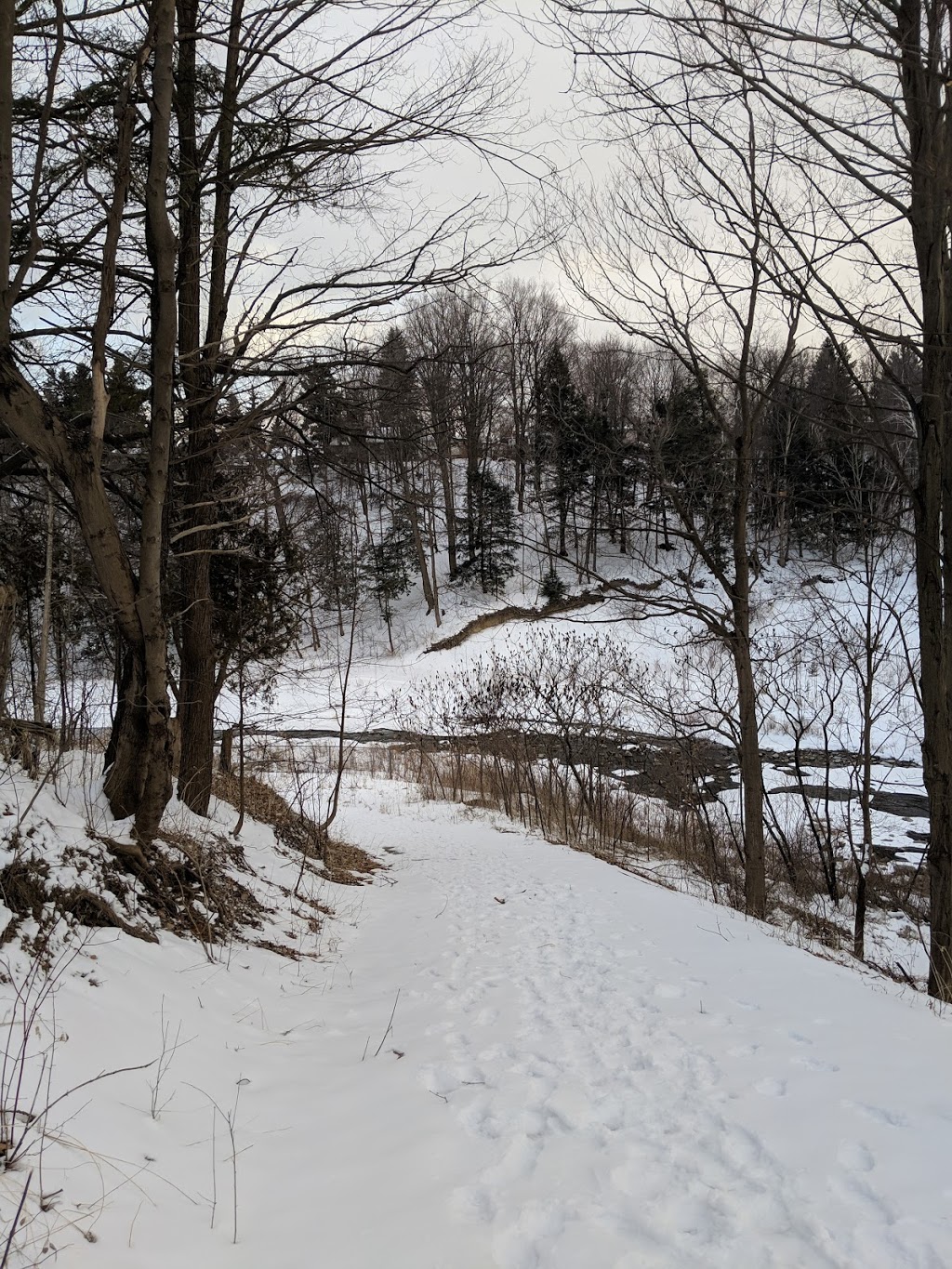 Morningside Park | Unnamed Road, Scarborough, ON M1E 2R2, Canada