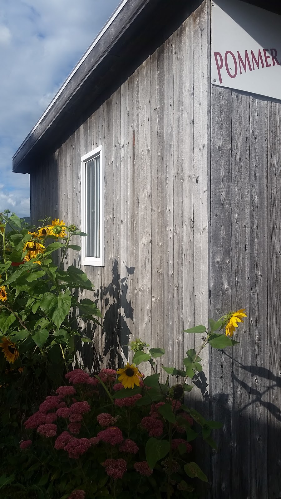 Pommeraie dOr | 173 Chemin de Marieville, Rougemont, QC J0L 1M0, Canada | Phone: (450) 469-2345