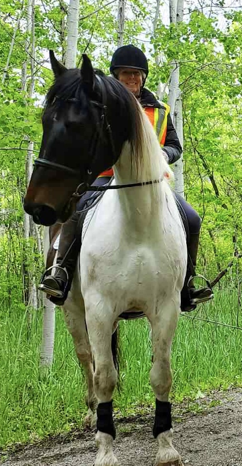 Railside Stables | Minesing, ON L0L 1Y3, Canada | Phone: (705) 715-7686