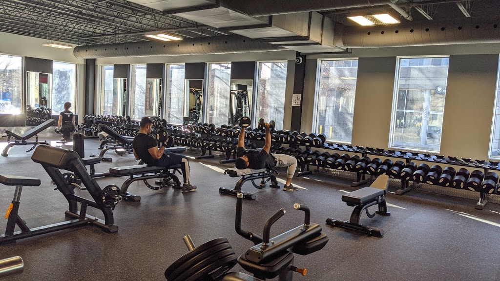 World Gym | 9200 Boulevard de lAcadie, Montréal, QC H4N 2T2, Canada | Phone: (438) 500-6500