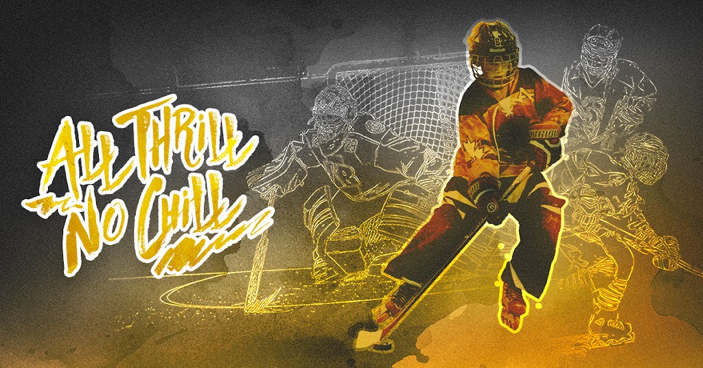 Roller Hockey Lethbridge | 603 Sixmile Cres, Lethbridge, AB T1K 5W8, Canada | Phone: (403) 359-7898