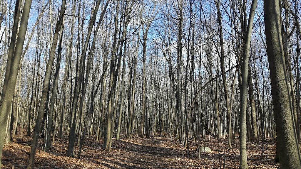 Fernand-Seguin Ecological Centre | 257 Rue Fernand-Seguin, Châteauguay, QC J6K 0J8, Canada | Phone: (450) 698-3133