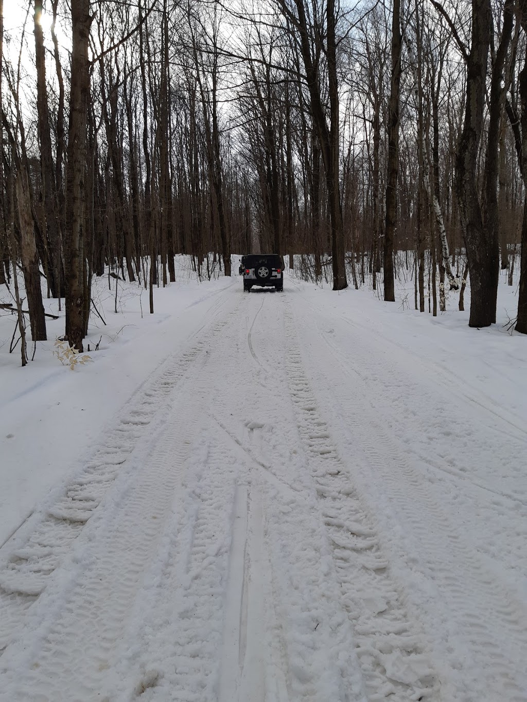 Long Sault Ridge Runners Snowmobile Club Inc The | 320 Sandy Hook Rd, Pontypool, ON L0A 1K0, Canada | Phone: (705) 277-2906
