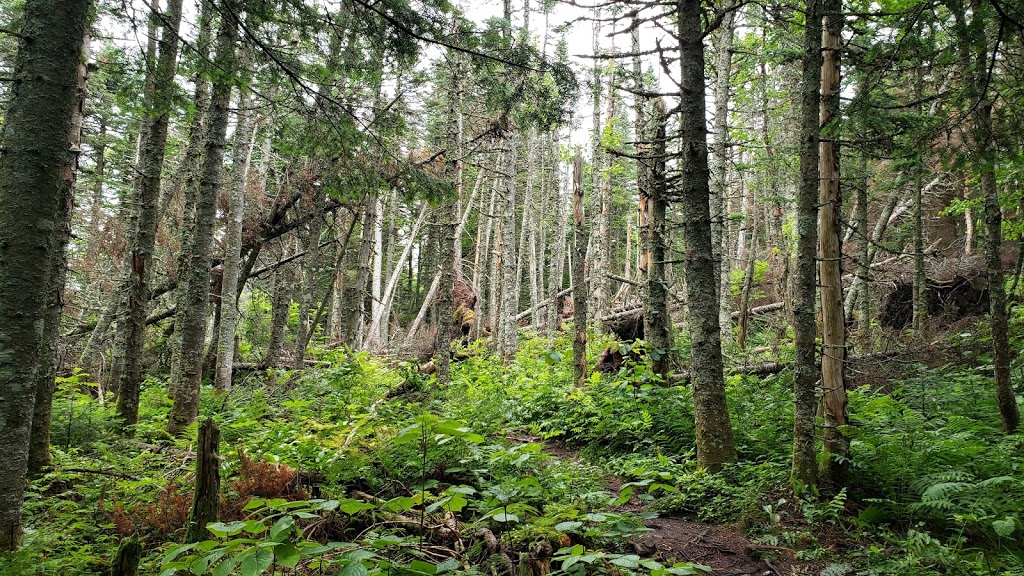 Mont Bélanger | Chem. du Club, Saint-Robert-Bellarmin, QC G0M 2E0, Canada | Phone: (418) 313-2046