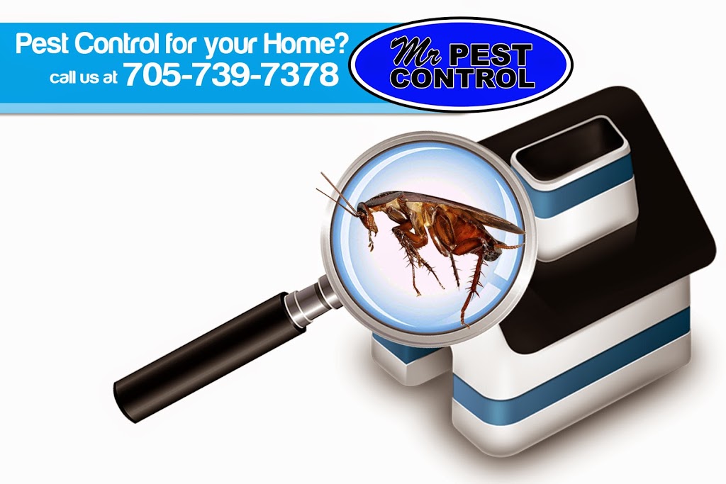 Mr Pest Control | 6 Maplehill Dr, Shanty Bay, ON L0L 2L0, Canada | Phone: (705) 739-7378