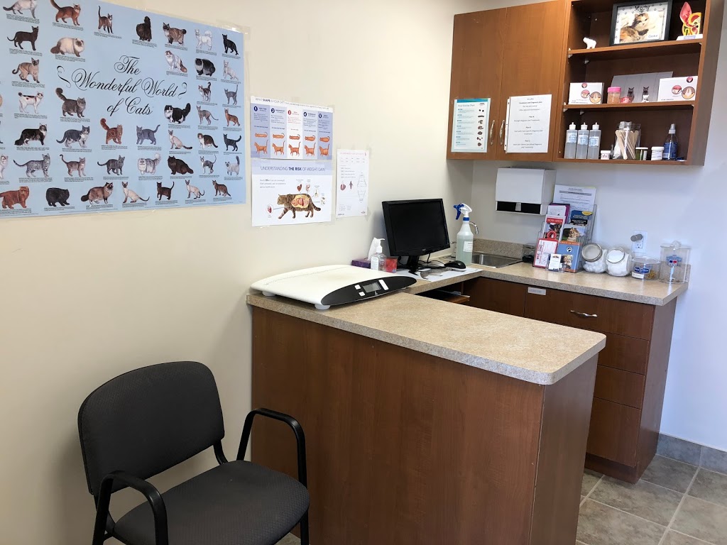 East Side Animal Hospital I affordable Vet in Toronto | veterinary care | 3095 Kingston Rd, Scarborough, ON M1M 1P1, Canada | 4162648387 OR +1 416-264-8387