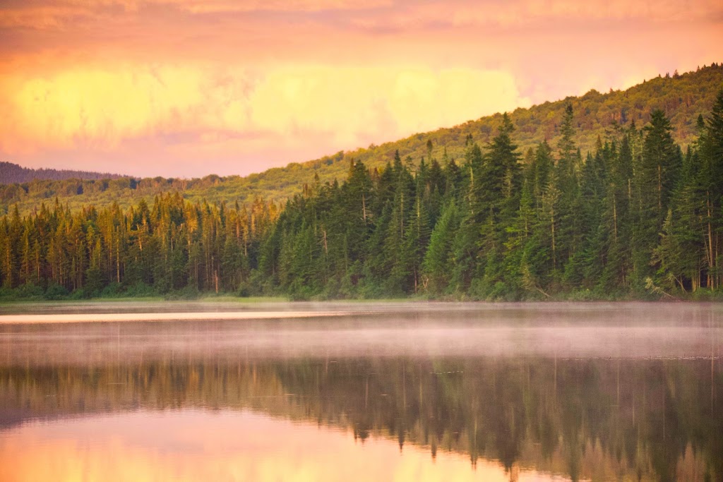 Coleman State Park | 1166 Diamond Pond Rd, Stewartstown, NH 03576, USA | Phone: (603) 237-5382