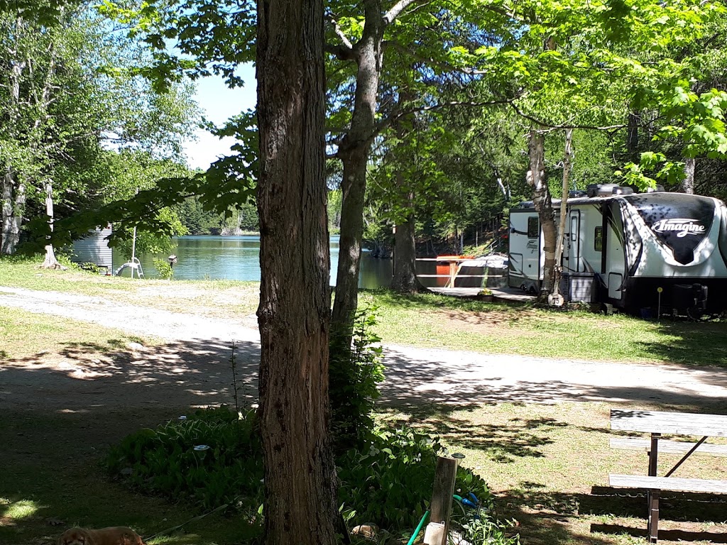 The Woods of Minden HIlls | 1831 Haliburton County Rd 21, Minden, ON K0M 2K0, Canada | Phone: (705) 286-1233