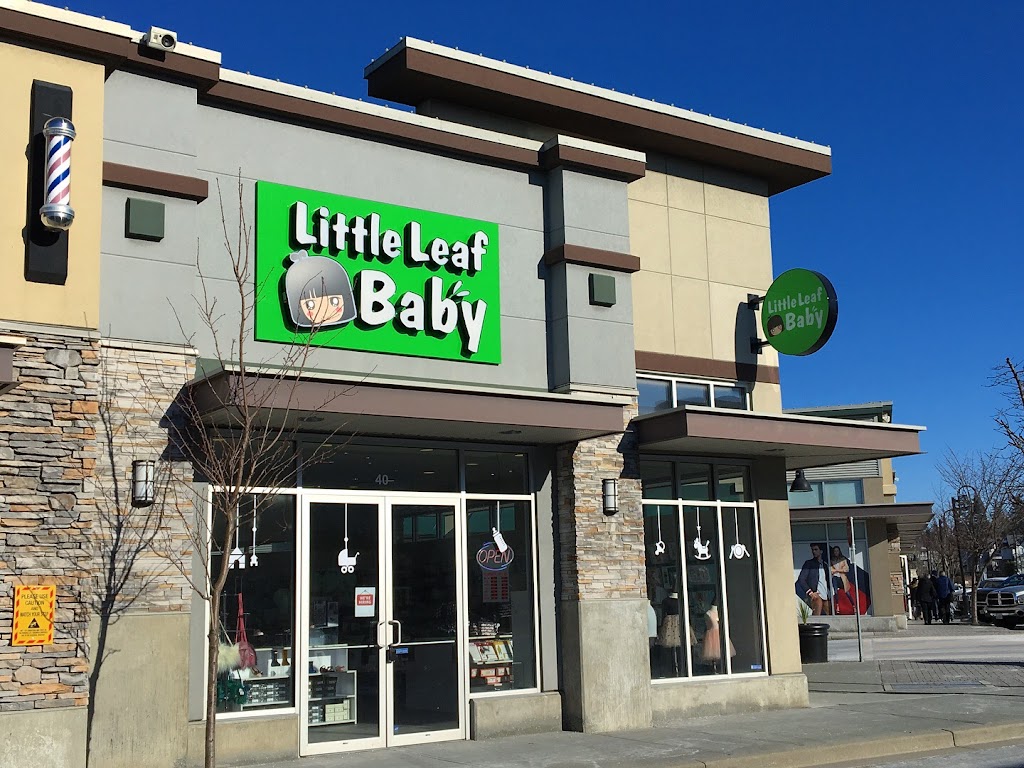 Little Leaf Baby | 2438 160 St #40, Surrey, BC V3S 0C8, Canada | Phone: (604) 535-9240