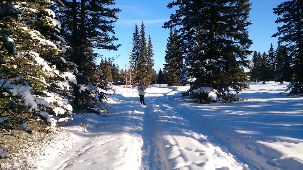 Redwood Meadows Golf & Country Club | 2 Tsuu Tina Dr, Redwood Meadows, AB T3Z 1A3, Canada | Phone: (403) 949-3663