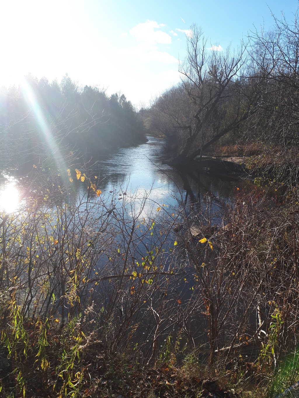 Apps Mill Nature Centre | 308 Robinson Rd, Brantford, ON N3T 5L7, Canada | Phone: (519) 752-0655