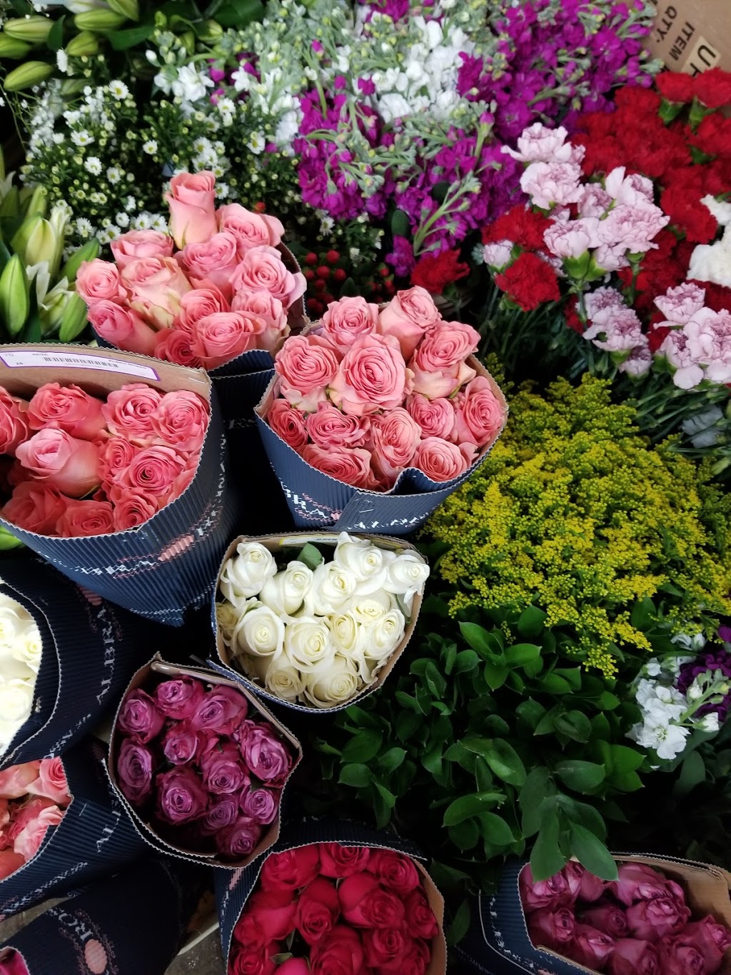 Oceana Florists Ltd. | 5047 184 St, Surrey, BC V3X 1B5, Canada | Phone: (604) 576-6729