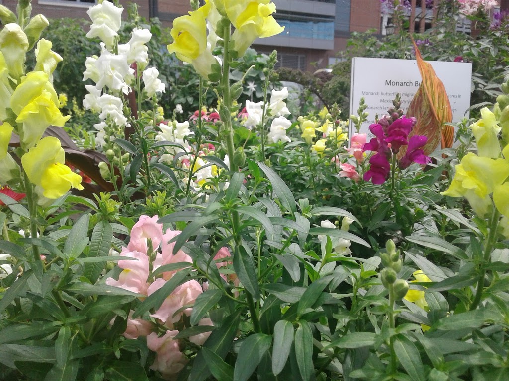 ECC Learning Garden | Buffalo, NY 14203, USA
