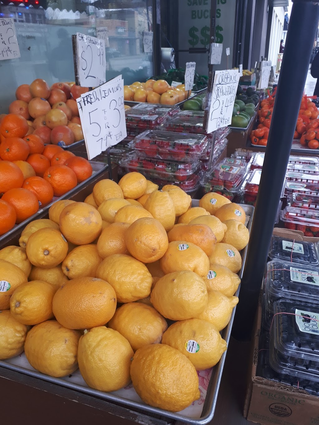 Sunnyland Products | 2974B Bloor St W, Etobicoke, ON M8X 1B9, Canada