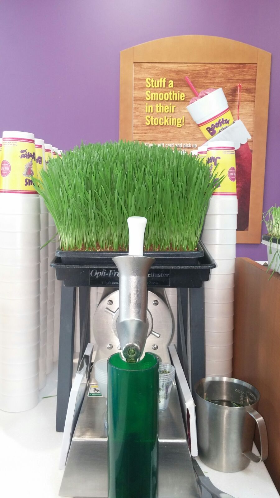 Booster Juice | 8280 HWY #27, Unit B8, Vaughan, ON L4H 0R9, Canada | Phone: (905) 856-8989