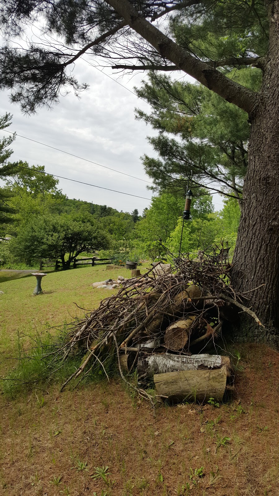 Pinnacle Park Camping | Pinnacle Hill Rd, Grafton, ON K0K 2G0, Canada | Phone: (905) 349-2291