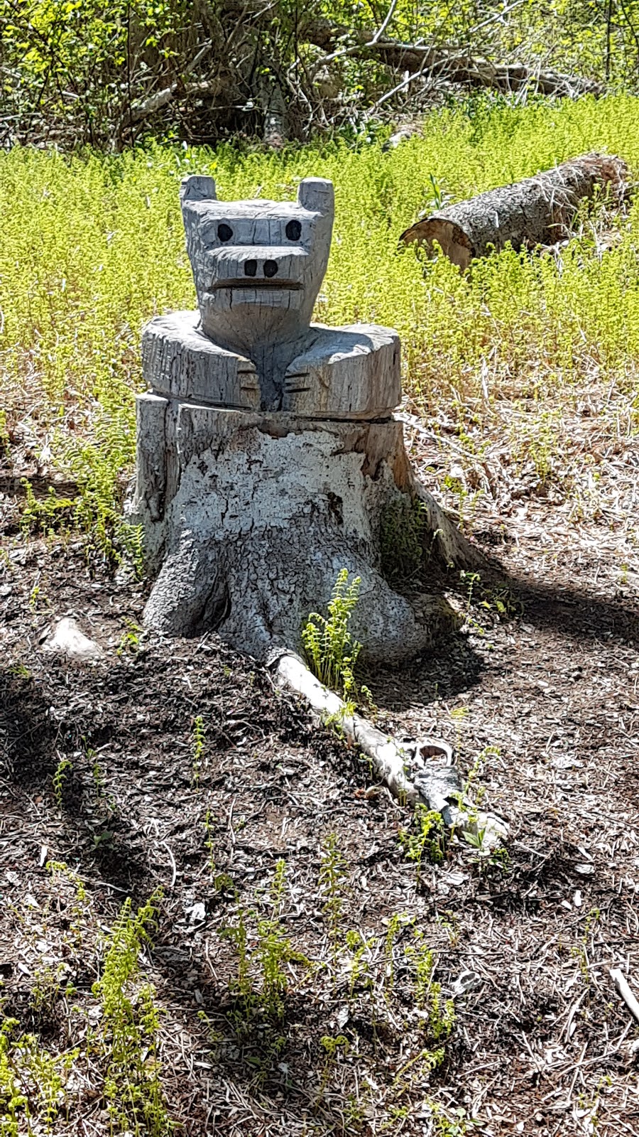 Cole Harbour Heritage Park Cole Harbour, NS B2V, Canada